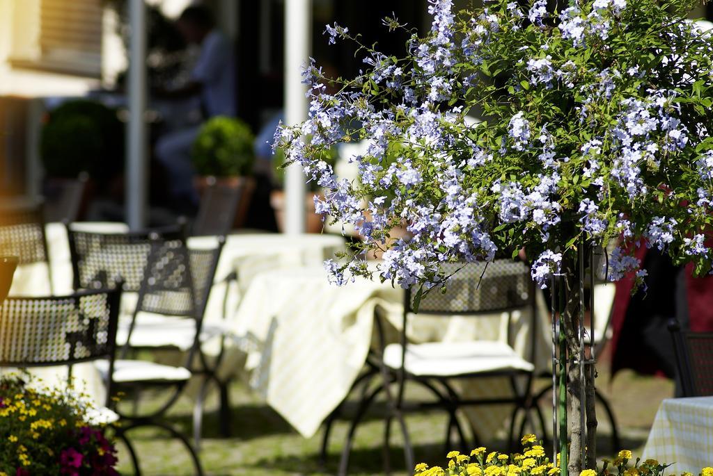 Hotel & Restaurant Sonne Kirchzarten Dış mekan fotoğraf